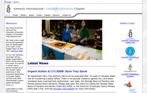 Screenshot of the new-look amnesty website