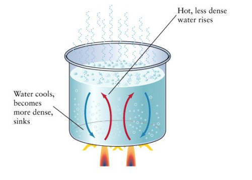 convection in a pot